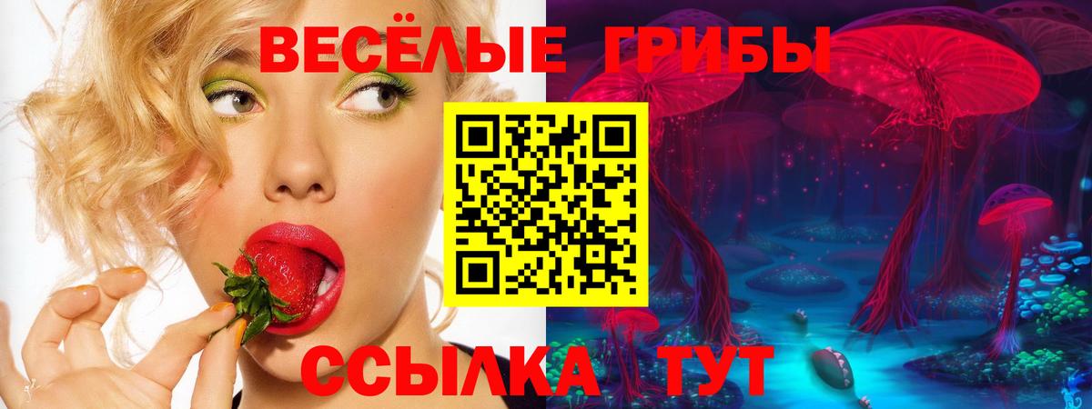 Оренбург  Галлюциногенные грибы MAGIC MUSHROOMS  где можно купить   Галлюциногенные грибы GOLDEN TEACHER  Вход с VPN 